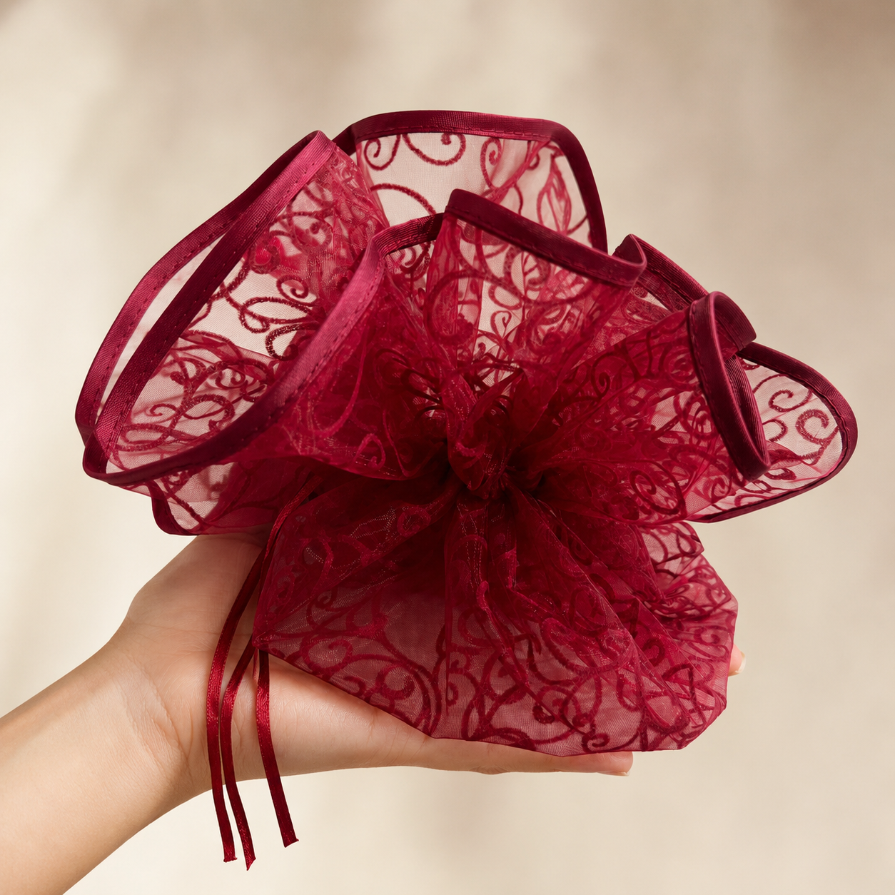 Pack of 5 Red Organza Potli Gift Bag